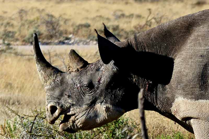 Namibia